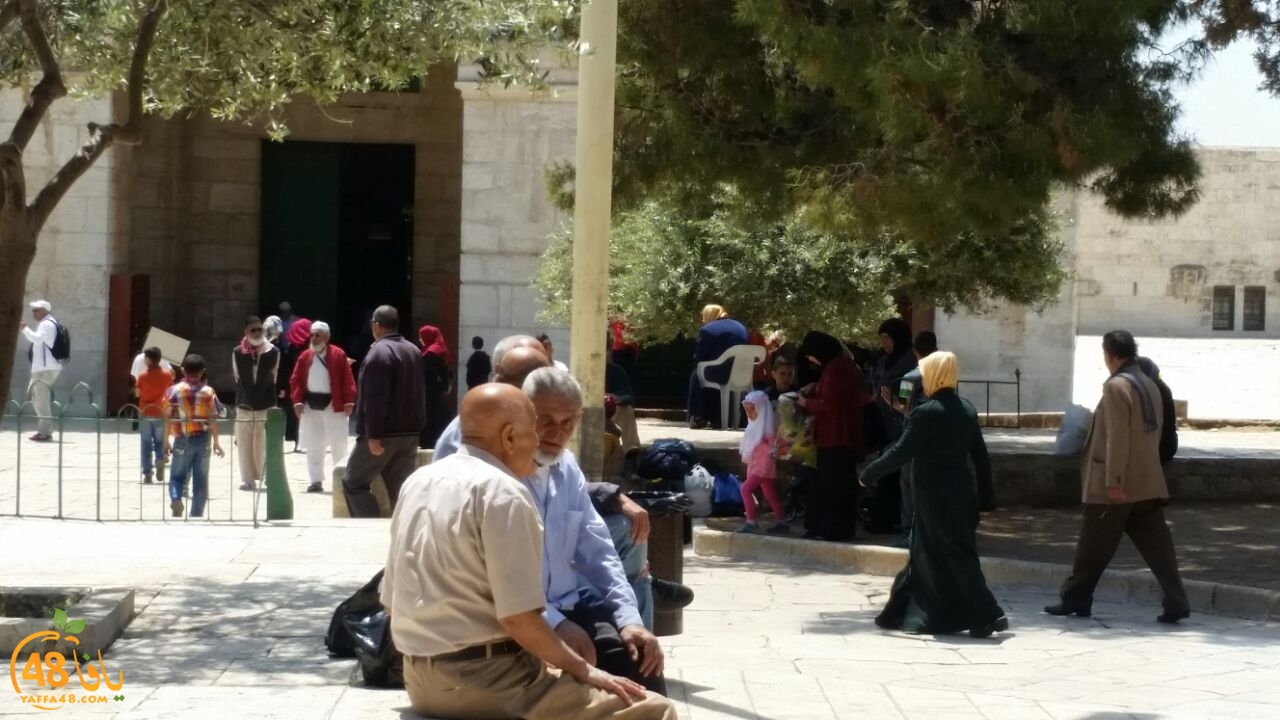 a7bab al aqsaa (17).jpg